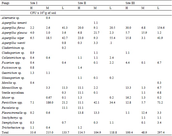 Abundance of rhizospheric filamentous fungi associated with cirio.