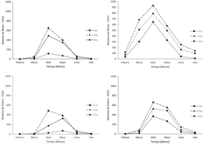 Distribución temporal de la abundancia de flores y frutos de S. queretaroensis por paraje y año de observación (Cer = El Cerrito, Gar = Garambullos, Soy = Soyate).