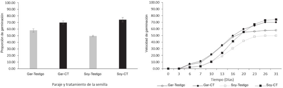Proporción y velocidad de germinación de semillas de S. queretaroensis de acuerdo al paraje y tratamiento pregerminativo. Gar = Paraje Garambullos, Soy = Paraje Soyate, testigo = semillas sin tratamiento, CT = semillas con tratamiento de hipoclorito de sodio.