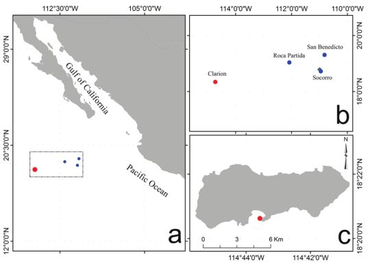 a, Study area in the Mexican Pacific; b, Revillagigedo National Park; c, observation of K. sectatrix with partial albinism in Clarion Island, Revillagigedo Archipelago.