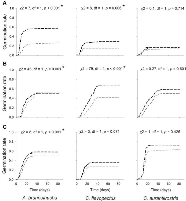 Germination rate curves for the seeds of 3 plant species, ingested and not ingested by 3 species of birds: A, C. xalapensis; B, M. glaberrima, and C, M. mexicana.