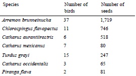 Number of individuals of each species of bird used in the experiment and the number of seeds obtained per species of bird. Only the first 2 bird&rsquo; species, separated by a dashed line, were used for analyzes.
