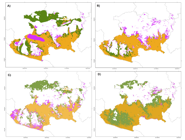 Comparison of the different proposals of distribution of the seasonally dry tropical forest in Michoacán with the potential distribution obtained in this study: A) Rzedowski (1990) model, B) INEGI (2003), C) Villaseñor and Ortiz (2014), D) Prieto-Torres and Soto-Rojas (2016). In all figures the orange color indicates the coincident areas, the lilac color indicates areas predicted by our model non-coincident with the proposed model, and the green areas the exclusive areas of each model not recorded by our model