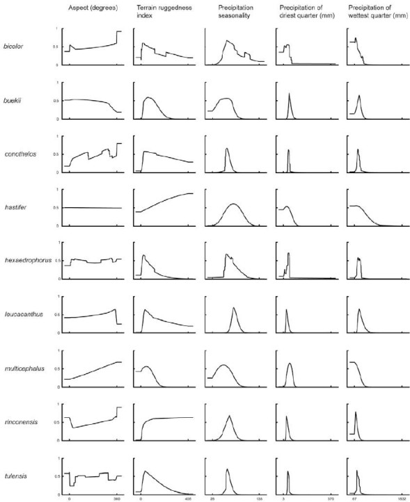 Response curves of Maxent models obtained from topographic variables and precipitation factors for Thelocactus species. Models were generated using only one variable at a time. The curves show the mean response of the cross-validated models with 20 replicate runs. The value shown on the y-axis is predicted probability of presence.