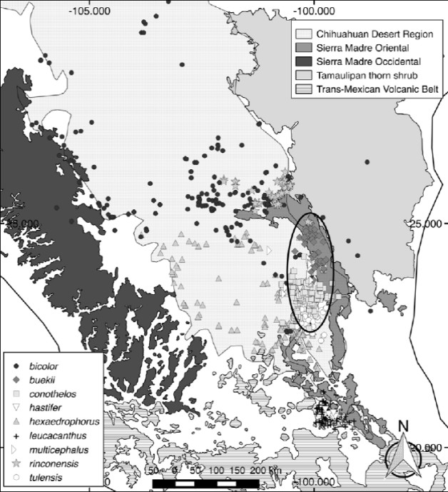 Distribution map of the 9 Thelocactus species
							considered in this study. Symbols represent species occurrences. The
							ellipse circumscribes the Galeana, Mier y Noriega and Huizache
							subregions of the Chihuahuan Desert Region, which host the largest
							number of Thelocactus species. The delimitation of theChihuahuan Desert Region is based on Hern&aacute;ndez et al. (2004). The boundaries of the Sierra Madre
							Oriental, Sierra Madre Occidental, Trans-Mexican volcanic belt, and
							Tamaulipan thorn shrub were obtained from The Nature Conservancy spatial data of terrestrial ecoregions (http://maps.tnc.org/gis_data.html).