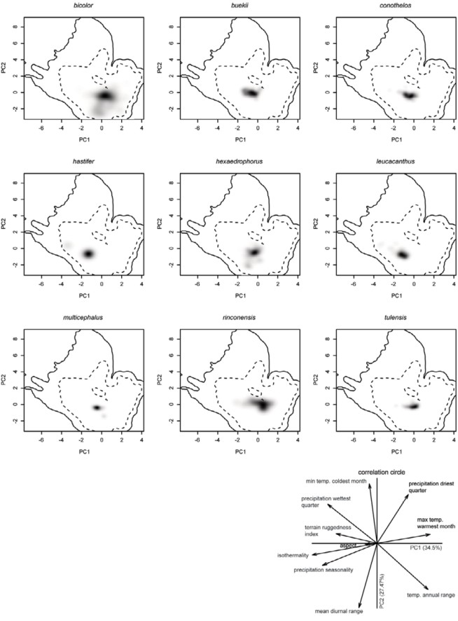 Ecological niche of Thelocactus species in
							environmental space. Niche was displayed in the 2 main axes of principal
							component analysis. Grey-to-black shading represents grid cell density
							of species&rsquo; occurrences (black being the highest density). The first
							dashed line represents the 50% of the available environment and the
							solid line represents the 100%. The last panel presents the contribution
							of variables for loading the main PCA-env axes and the percentage of
							inertia explained by axes 1 and 2
