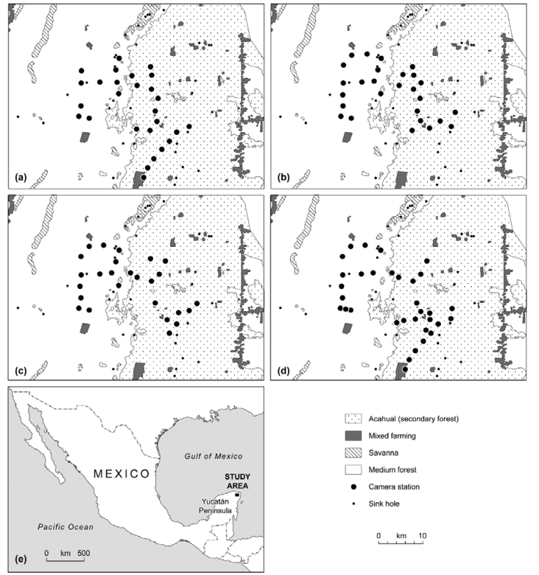The location of camera traps (large black dots) plotted according to year of study (a, 2008; b, 2010; c, 2011; d, 2012) showing major vegetation types (secondary forest; shaded with small dots on a white background), mixed farming (shaded in grey), medium-stature forest (shaded in white), and sink holes (small black dots), and e, the location of the study area at El Edén Ecological Reserve, Mexico (21°36’00”-20°34’00” N, 87°06’00”-87°45’00” W).