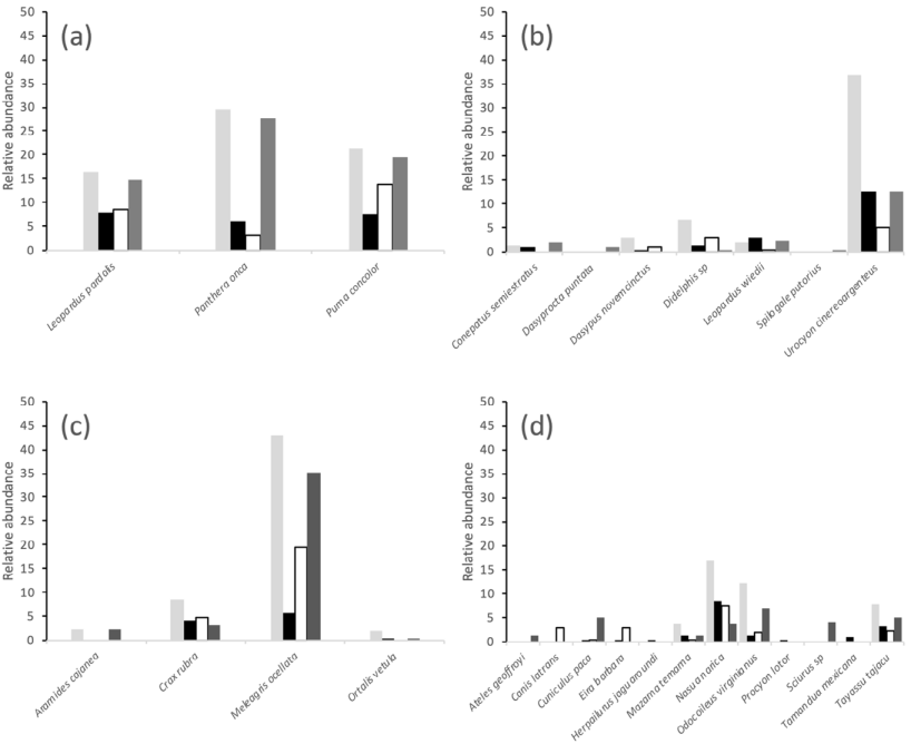 Annual relative abundance of the all animals recorded in the camera
							traps at El Edén Ecological Reserve, Quintana Roo, Mexico, grouped
							either by prey type: (a) co-predator, (b) large and medium mammals, (c) large and small birds, and (d) small mammals. Gaps in bars indicate that no observations were made for that species in a particular year (light grey (2008), black (2010), white (2011), dark grey (2012)