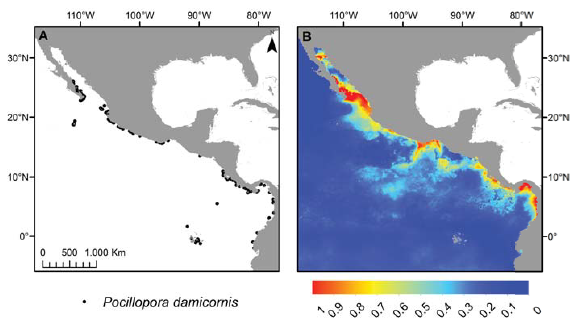 Comparaci&oacute;n entre la distribuci&oacute;n de P. damicornis de acuerdo con los registros georeferenciados (A) y la distribuci&oacute;n potencial predicha por Maxent (B)