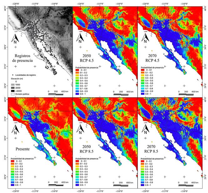 La primera columna de izquierda a derecha presenta los mapas con las localidades de presencia de Dipsosaurus dorsalis (arriba) y la idoneidad del hábitat actual (abajo) según el modelo ecofisiológico. La segunda y tercera columna muestran los cambios proyectados en la idoneidad del hábitat en su distribución en los escenarios de emisiones para 2050 y 2070 según RCP 4.5 (arriba) y RCP 8.5 (abajo)