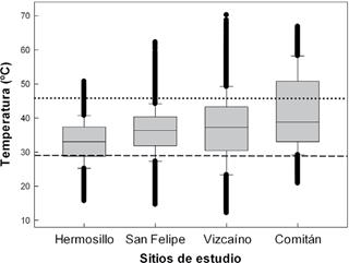 Temperaturas operativas en los 4 sitios de estudio. La línea dentro de las cajas representa la mediana. La línea discontinua muestra la temperatura voluntaria mínima y la línea punteada la temperatura voluntaria máxima de Dipsosaurus dorsalis