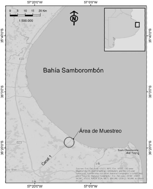 Mapa mostrando la Bah&iacute;a Samboromb&oacute;n, provincia de Buenos Aires y el sitio de muestreo en la desembocadura del canal 1