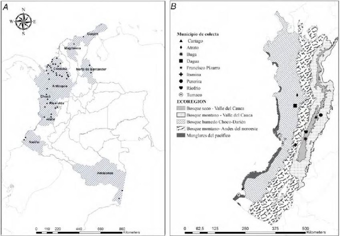 A, Sitios de colecta de especímenes Anopheles; B, ecorregiones y localidades donde se encontró Anopheles calderoni