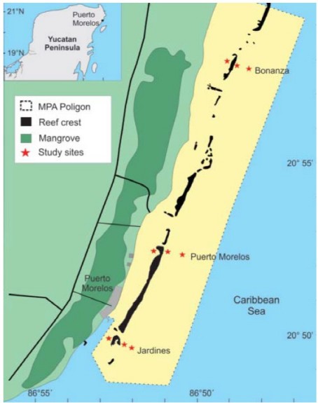 Map of the Puerto Morelos Reef National Park, Quintana Roo, Mexico, showing the collecting sites for this study: Bonanza, Puerto Morelos and Jardines