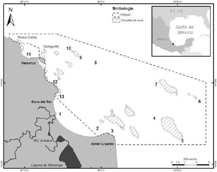 Localizaci&oacute;n de las estaciones de muestreo de fitoplancton dentro del PNSAV: 1) Jamapa, 2) Ant&oacute;n Lizardo norte, 3) Ant&oacute;n Lizardo sur, 4) norte Cabezo, 5) norte Anegada de Afuera, 6) centro, 7) sur Anegada de Adentro, 8) norte Anegada de Adentro, 9) playa norte, 10) sur plaza de la Soberan&iacute;a y 11) Mocambo
