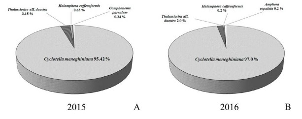Porcentaje de biomasa obtenida como peso fresco (μm3 gss) para el total de diatomeas dominantes. A, 2015; B, 2016. Se destacan las especies cuya biomasa como peso fresco fue > 0.2%