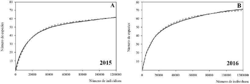 Curvas de rarefacci&oacute;n observadas (l&iacute;nea continua) y esperadas (l&iacute;nea punteada) de m&aacute;ximo n&uacute;mero de fr&uacute;stulas (individuos). A, 61 especies en 2015; B, 70 especies en 2016