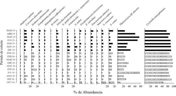 Porcentaje de abundancia (fr&uacute;stulas totales) de diatomeas bent&oacute;nicas dominantes del lago Chalco durante 2015 y 2016. Las abundancias de las diatomeas dominantes fueron &ge; 2% del componente bent&oacute;nico total. Los datos de Thalassiosira aff. duostra y Cyclotella meneghiniana son gr&aacute;ficas independientes para facilitar una visualizaci&oacute;n comparativa