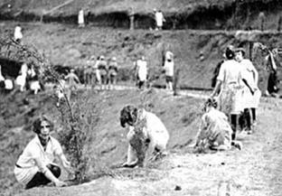 Reforestaci&oacute;n del cerro de Macuilt&eacute;petl por alumnas de la Normal Veracruzana de la ciudad de Xalapa, Veracruz en 1946. Fotograf&iacute;a tomada de la p&aacute;gina de Facebook Xalapa antiguo (febrero de 2018)