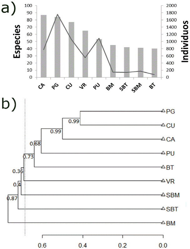 Riqueza y abundancia de especies por tipo de vegetación. Las barras
							corresponden al número de especies en cada tipo de vegetación mientras
							que la línea continua al número de individuos. b) Mean
							= 0.68. Dendrograma de disimilitud (índice de Sørensen y método de
							ligamiento promedio) (promedio disimilitud = 0.68) entre hábitat. En los
							nodos se muestra el valor de soporte de ramas (bootstrap, 1,000
							repeticiones). BT-Bosque tropical perennifolio, BM-bosque mesófilo de
							montaña, VR-vegetación ribereña, SBT-vegetación secundaria derivad de
							bosque tropical perennifolio, SBM-vegetación secundaria derivad de
							bosque mesófilo de montaña, CA-cafetal de sombra, CU-cultivos,
							PG-pastizal ganadero, PU-pueblos. 