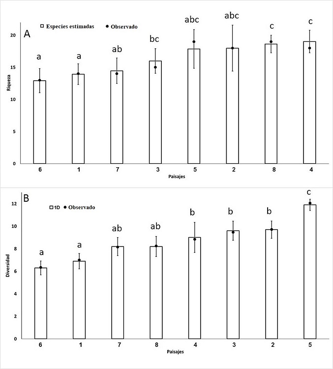 Graficas de riqueza y diversidad de especies. La imagen A muestra la riqueza de especies estimada a una cobertura de la muestra de 99.6%. Se incluye la barra de error con un I.C. de 95% y los datos de riqueza observada (punto negro) para cada unidad de paisaje. Los puntos representados por encima del l&iacute;mite de las barras (e.g., paisajes 5 y 8) indican que la estandarizaci&oacute;n requiri&oacute; una interpolaci&oacute;n (rarefacci&oacute;n), mientras que los puntos por debajo de la barra (e.g., paisajes 3 y 4) indican que se realiz&oacute; una extrapolaci&oacute;n. La figura B, muestra la diversidad medida con el exponencial del &iacute;ndice de Shannon-Wiener, que equivale al n&uacute;mero de Hill de orden 1, se estandariz&oacute; tambi&eacute;n al 99.6% de cobertura de la muestra, con sus respectivas barras de error de 95% y los puntos indican la diversidad observada para los diferentes paisajes.