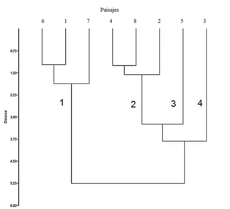 Agrupaci&oacute;n de paisajes de acuerdo a los valores de sus atributos de riqueza, riqueza funcional y diversidad.