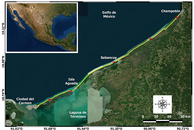 Localizaci&oacute;n del transecto de muestreo de ejemplares atropellados de fauna silvestre en parte del estado de Campeche (l&iacute;nea amarilla). Los s&iacute;mbolos rojos representan la localizaci&oacute;n de los sitios en los que se cuantific&oacute; la velocidad y la cantidad de tr&aacute;nsito vehicular.