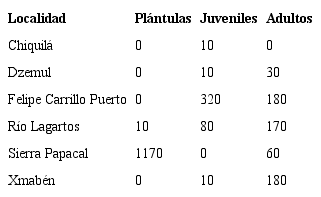 Densidad (ind/ha) de Beaucarnea pliabilis por etapas de desarrollo.
