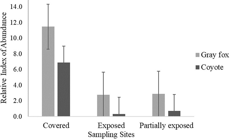Relative abundance index (RAI) of gray fox and coyote detected at 3 sampling sites at Las Barajitas Canyon.