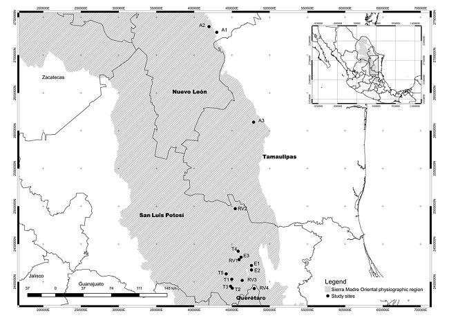 Study area in the Sierra Madre Oriental, M&eacute;xico.
