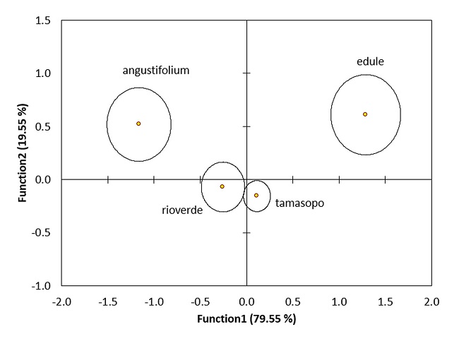 Discriminant Analysis biplot of the Dioon edule form "edule", "rioverde", "tamasopo" and D. angustifolium classification.