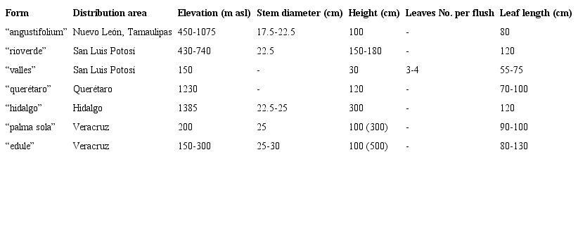 Forms proposed by Whitelock (2004) to classify Dioon edule populations in its distribution area.
