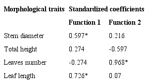 Standardized coefficients of discriminant functions of Dioon edule and D. angustifolium populations. * Traits with a high contribution