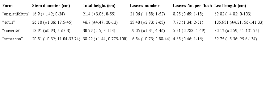 Mean (&plusmn;SE; range) morphological traits of the 4 forms of Dioon edule and D. angustifolium in their distribution range.