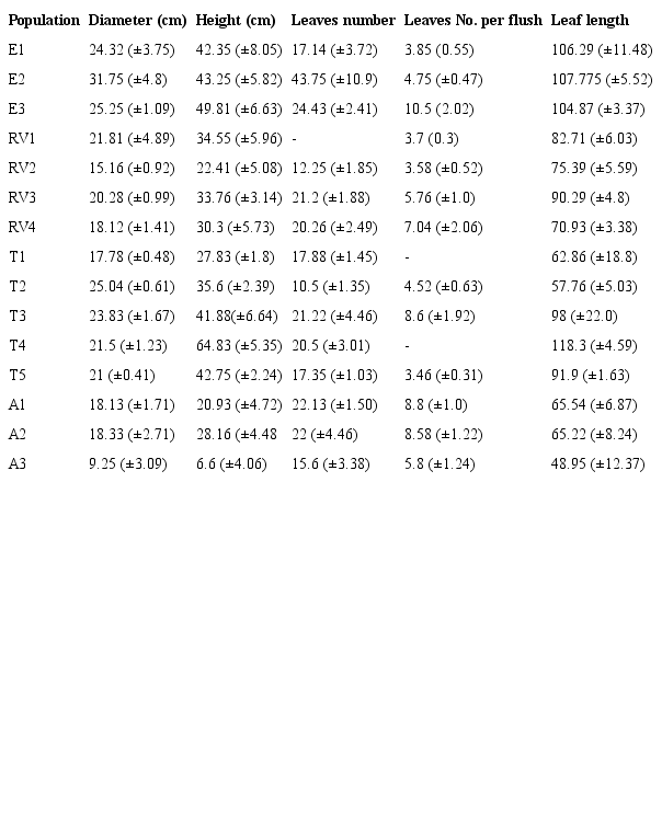 Mean (&plusmn;SE) morphological traits of 15 populations of Dioon edule and D. angustifolium in their distribution range.