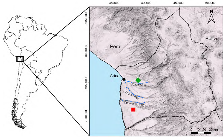 Study area in South America (left) and locations of collection sites of the 2 populations (right) of Tillandsia landbeckii in the Atacama Desert of northernmost Chile: Pampa Dos Cruces (diamond green) and Pampa Camarones (red square).