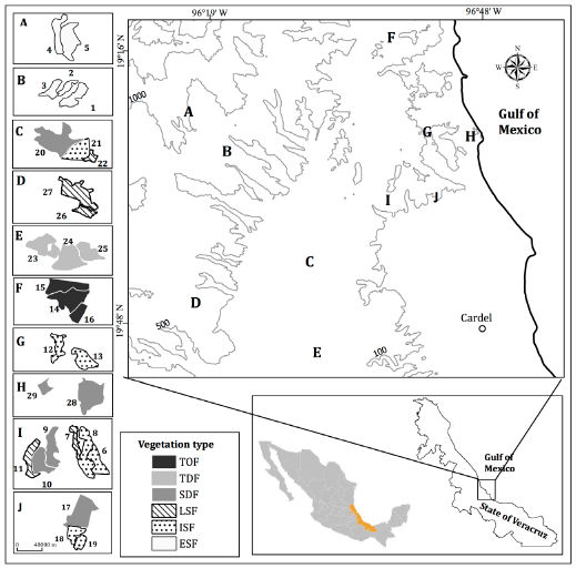 Study area in the seasonally dry tropical region of the Gulf of Mexico, Veracruz, Mexico, showing the location of the 10 sampling sites. Insets to the left of the map are the polygons of the 29 forest fragments (or forested patches) where the vegetation was sampled, the number used to identify each patch sampled within a given site, and its vegetation type (as described in table 1). The numbers over the isolines correspond to the elevation information.