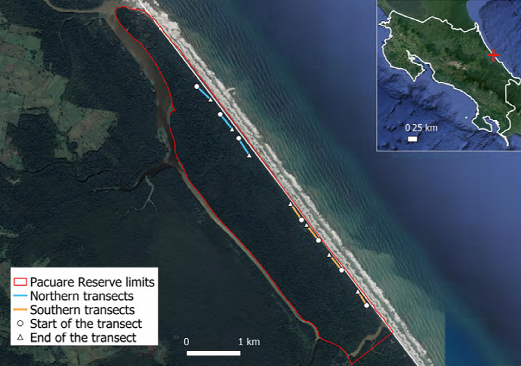 Map of the Pacuare Nature Reserve. All transects sampled along the
							main track are represented.