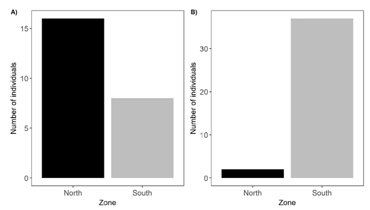Distribution North-South of the scorpions in Pacuare Nature Reserve.
							A) Centruroides limbatus specimens within the 2 zones.
							B) Tityus ocelote specimens within the 2 zones.