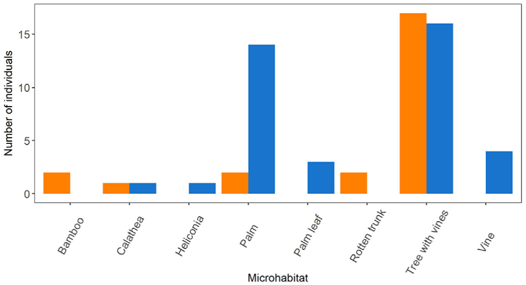Microhabitat preference of the scorpions in Pacuare Nature Reserve.
							The orange bars represent Centruroides limbatus and the
							blue bars correspond to Tityus ocelote.
