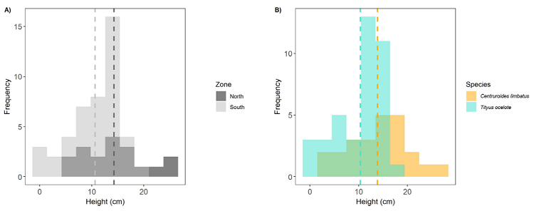 A) Height location above the ground of both scorpion species
							depending on the zone (North and South). B) Height location above the
							ground depending on the species. Discontinuous lines in both graphs
							represent the mean height of each zone (A) or species (B). Height is
							square root transformed in both graphs.
