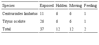 Behavioural activity of both species during the sampling. 