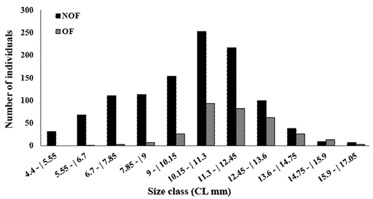 Size-frequency distribution of the carapace length of the
							non-ovigerous females (NOF) and ovigerous females (OF) of
								Macrobrachium amazonicum caught in Severínia, São
							Paulo, Brazil.