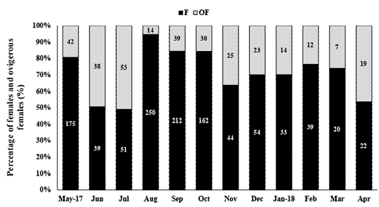 Macrobrachium amazonicum (Heller, 1862). Relative
							frequency of ovigerous females (OF) and non-ovigerous females (F), from
							May 2017 to April 2018, in the water reservoir of Severínia, São Paulo,
							Brazil. The numbers above the bars indicate the absolute number of OF +
							F per month.