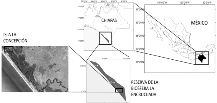 Location map of the study area.