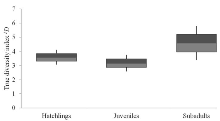 True diversity index of prey of 3 size classes of spectacled caiman at La Encrucijada, Chiapas, with first quartile (dark grey), third quartile (light grey), minimum and maximum (dark lines).