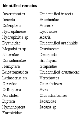 Taxonomy of identified remains of 44 spectacled caimans of La Encrucijada, Chiapas.