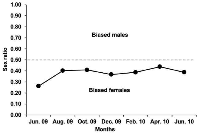 Sex-ratio of Tozeuma carolinense in Laguna de
							Términos during the study period.