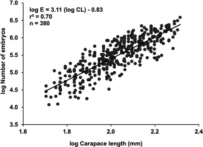 Relationship between log-transformed data of carapace length (CL)
							versus log-transformed number of embryos (E) for stage I of
								Tozeuma carolinense.