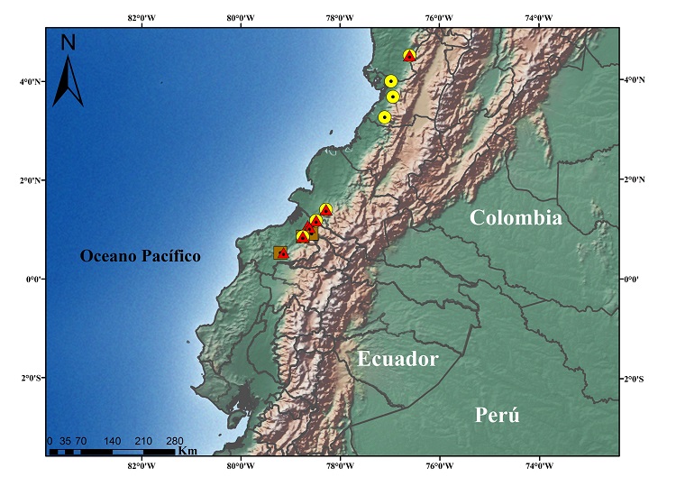 Mapa con la distribuci&oacute;n conocida de 3 especies nuevas del subg&eacute;nero Hypodictyon. Los c&iacute;rculos amarillos corresponden a la distribuci&oacute;n de Pristimantis afrox sp. nov., los tri&aacute;ngulos rojos a la distribuci&oacute;n de P. cisnerosi sp. nov. y los cuadrados caf&eacute;s a la de P. chocoensis sp. nov.